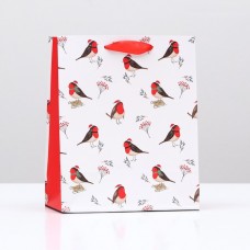 Пакет подарочный "Птицы", 18 х 22,3 х 10 см